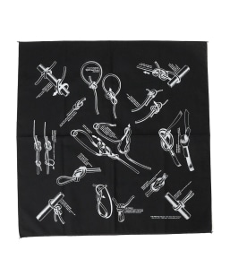 THE PRINTED IMAGE: vg o_i