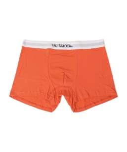 FRUIT OF THE LOOM: �x�[�V�b�N �{�N�T�[ �p���c