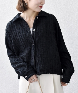 �s�\��tSHIPS any:�q����@�\�r�E�F�[�u �W���J�[�h �h���X�g �V���c