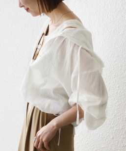 �s�\��tSHIPS any:�q����@�\�r�k�� �V�A�[ �h���X�g �t�[�h �u���E�X