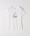 �s�\��t�ySHIPS any�ʒ��zPETIT BATEAU: ���S �v�����g �R���p�N�g TEE 26SS