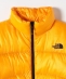 THE NORTH FACE: �W�b�v �C�� �W�b�v �A�R���J�O�A �W���P�b�g