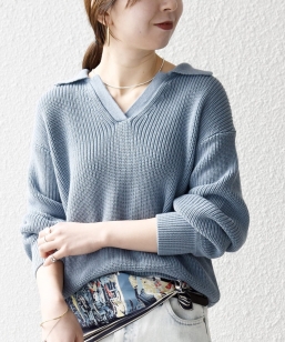 s\tSHIPS any:q􂢉\r Ќl҂ |J[ XLbp[ jbg vI[o[