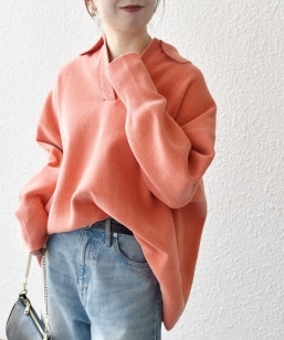 SHIPS any:q􂢉\r[[ XLbp[ | jbg vI[o[