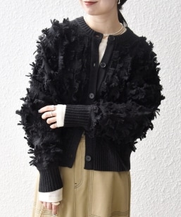 SHIPS any:q􂢉\rtW fUC h} jbg J[fBK