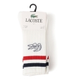 LACOSTE: ���j���S ���C�� �\�b�N�X 3Pack �z���C�g