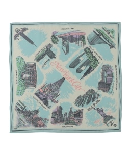 �ySHIPS any�ʒ��zBINDU:�q��􂢉\�r�}�b�v �X�J�[�t