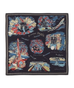 �ySHIPS any�ʒ��zBINDU:�q��􂢉\�r�}�b�v �X�J�[�t