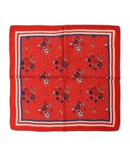 SK OVERSEAS IND PRIVATE LIMITED: �t�����[ �v�����g �X�J�[�t