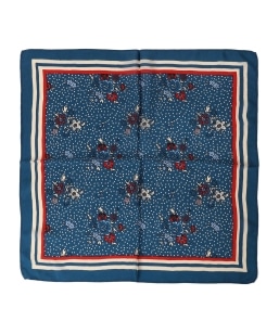 SK OVERSEAS IND PRIVATE LIMITED: �t�����[ �v�����g �X�J�[�t