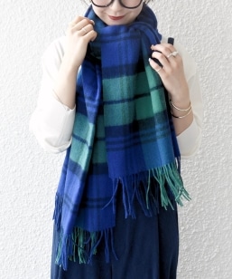 sǉ\tSHIPS any: E[ `FbN Xg[