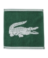 LACOSTE: ���j���S �n���J�` �^�I�� �O���[��