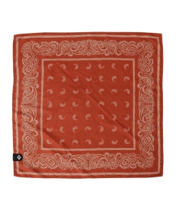 NOMADIX: �o���_�i �^�I��