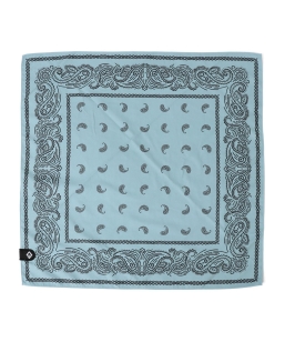 NOMADIX: �o���_�i �^�I��