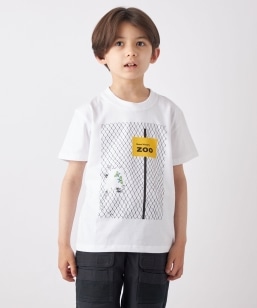 �ySHIPS any�ʒ��zBRUNO MUNARI: �v�����g T�V���c ��