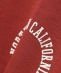 Champion:�q����@�\�r�v�����g �W�b�v �W���P�b�g<KIDS>
