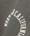 Champion:�q����@�\�r�v�����g �W�b�v �W���P�b�g<KIDS>