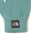 THE NORTH FACE:qRۖhL/􂢉\rjbg O[u <KIDS>