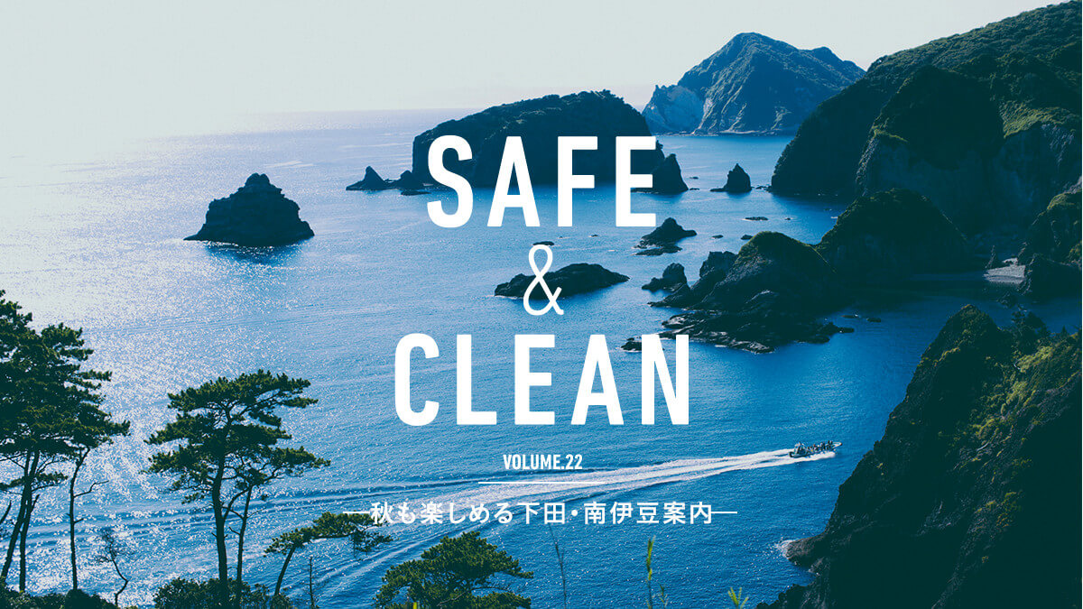 Safe &amp; Clean Vol.22   -Hy߂鉺cEɓē-