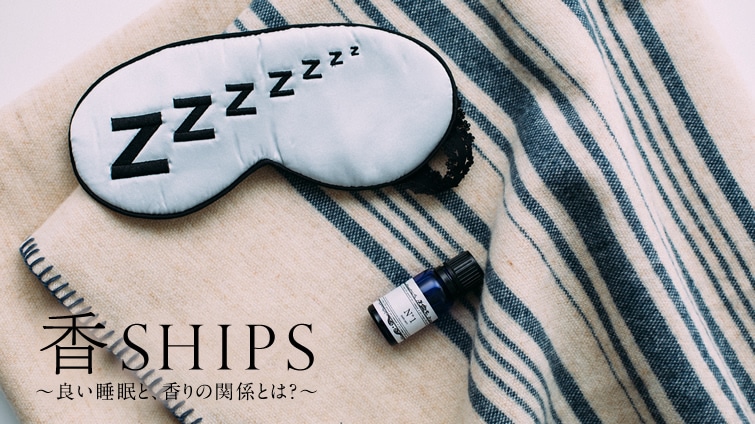 SHIPS `ǂƁÅ֌WƂ́H`