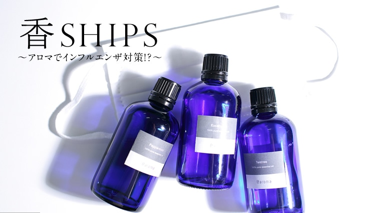 SHIPS `A}ŃCtGU΍!?`