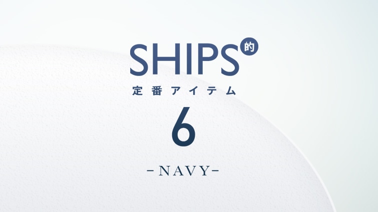 SHIPSIԃACeg6h \NAVY\