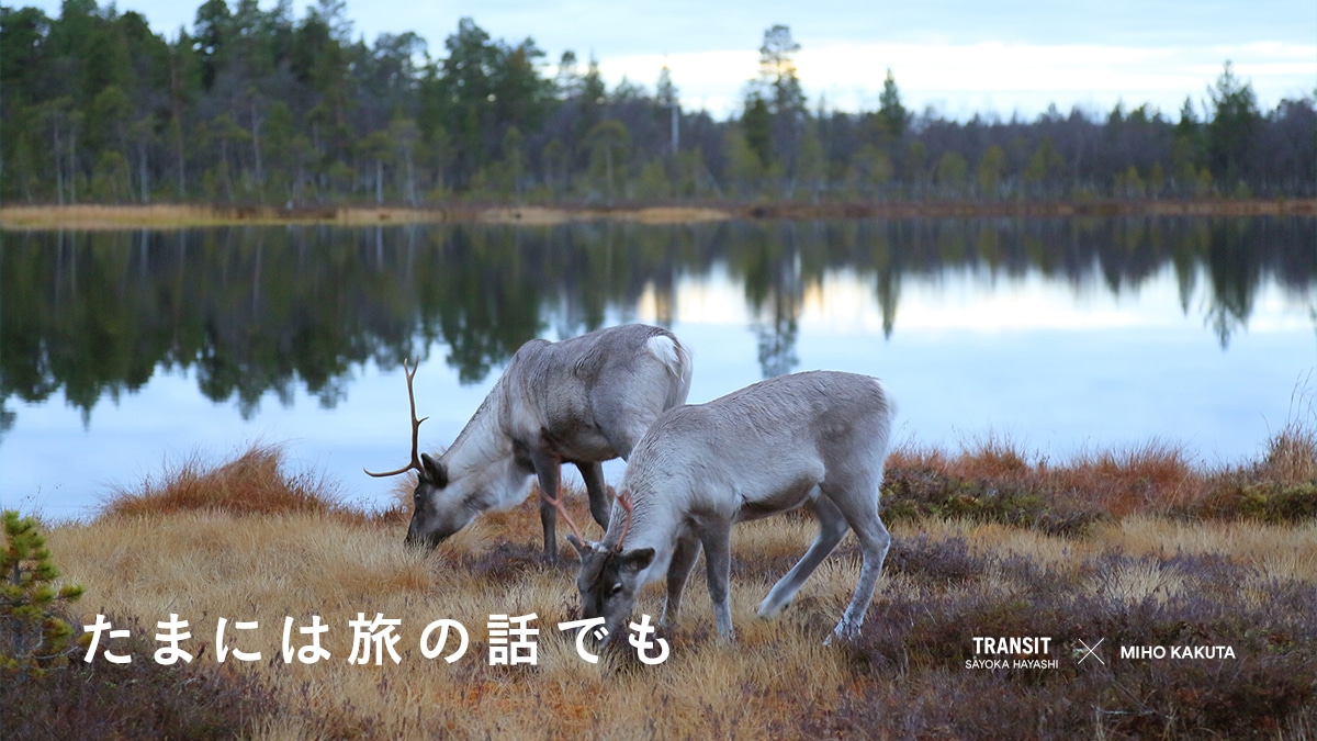 ܂ɂ̘͗bł  ?QXgFtHgOt@[E݂ق?