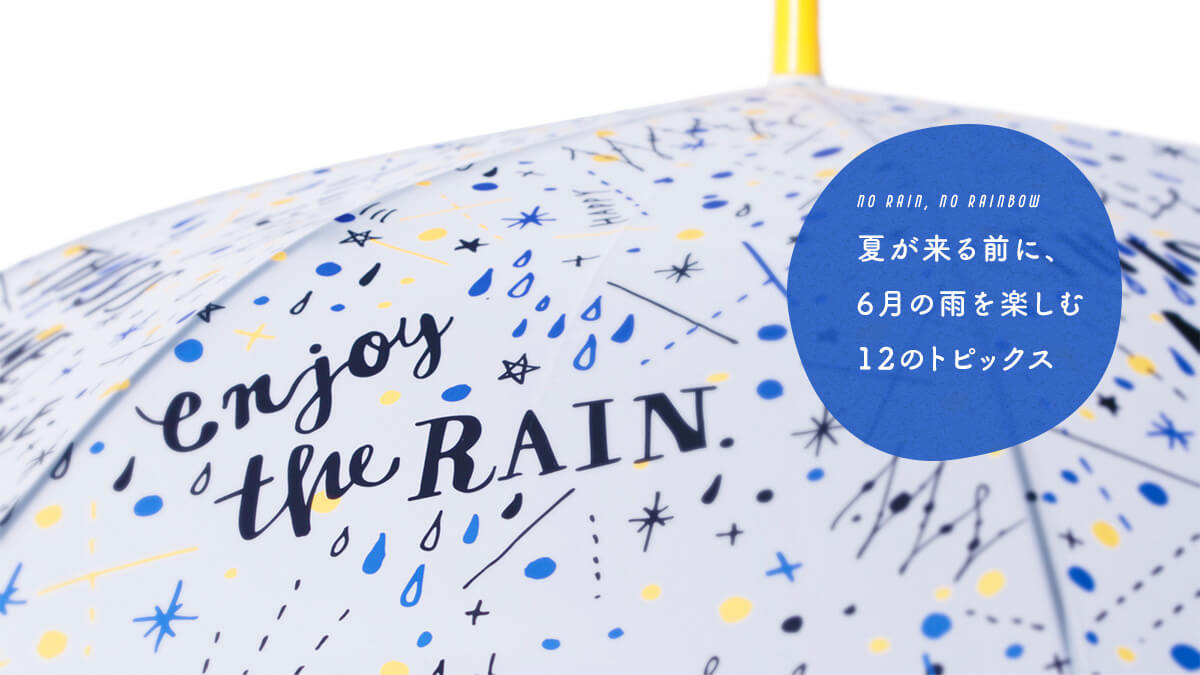 NO RAIN , NO RAINBOW  ĂOɁA6̉Jy12̃gsbNX