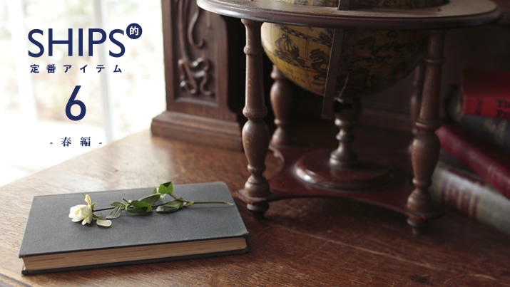 SHIPS�I��ԃA�C�e���g6�h�|�t�ҁ|