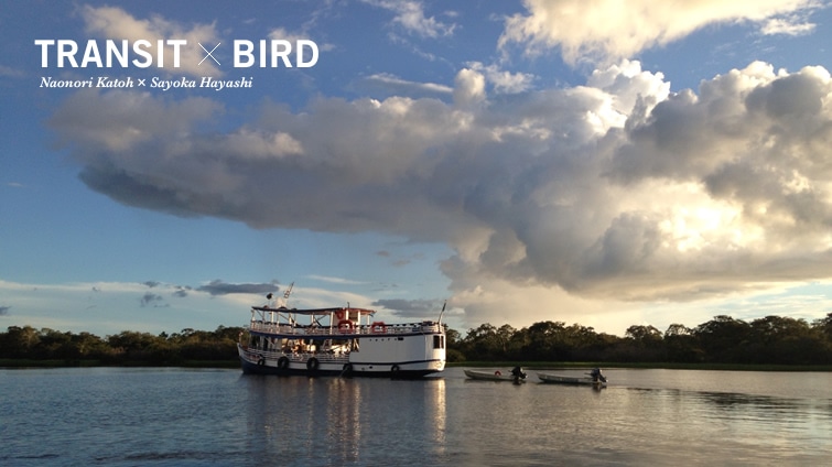 TRANSIT × BIRD NAONORI KATOH × SAYOKA HAYASHI