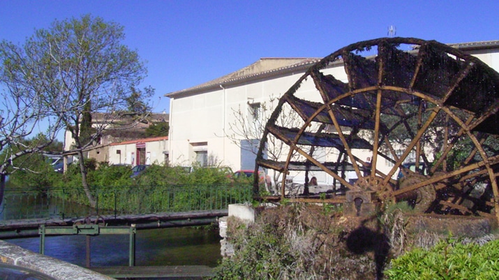 �X�^�C���X�g���R����̉Ă̒��