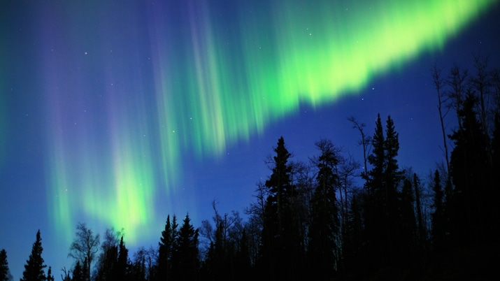 TRANSIT × BIRD@NAONORI KATOH × SAYOKA HAYASHI