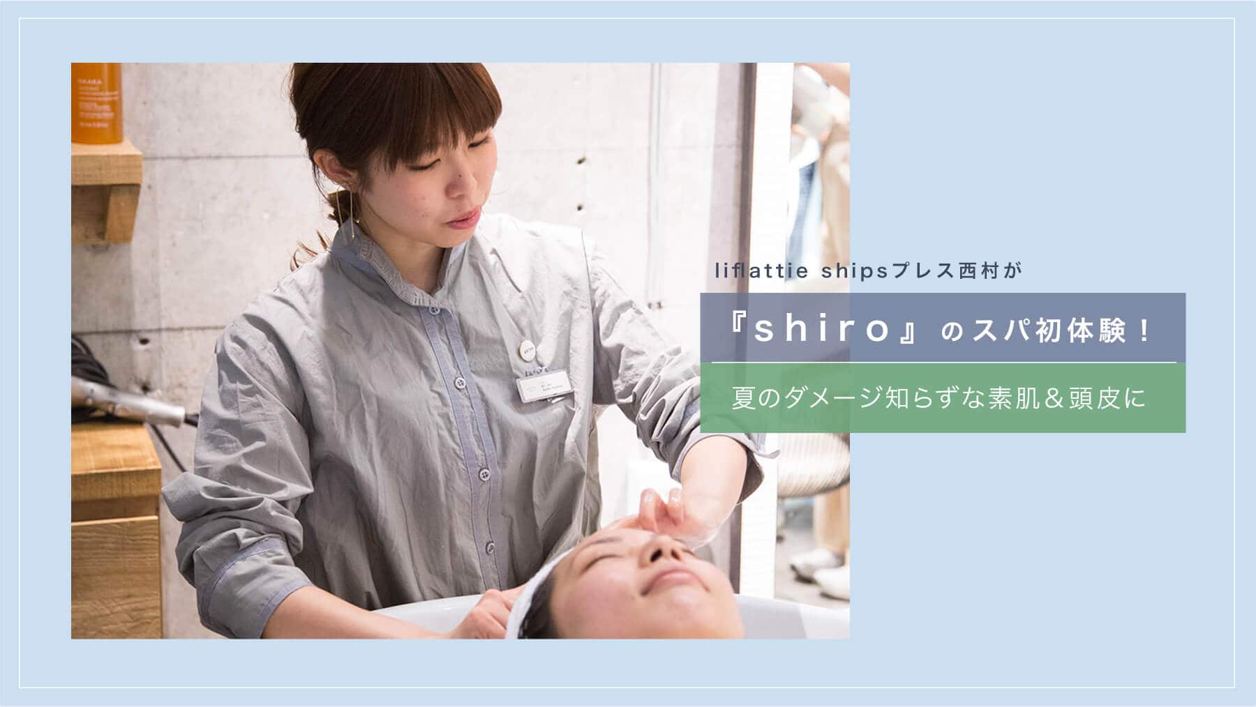 liflattie shipsvXwshirox̃Xp̌I Ẵ_[Wm炸ȑf