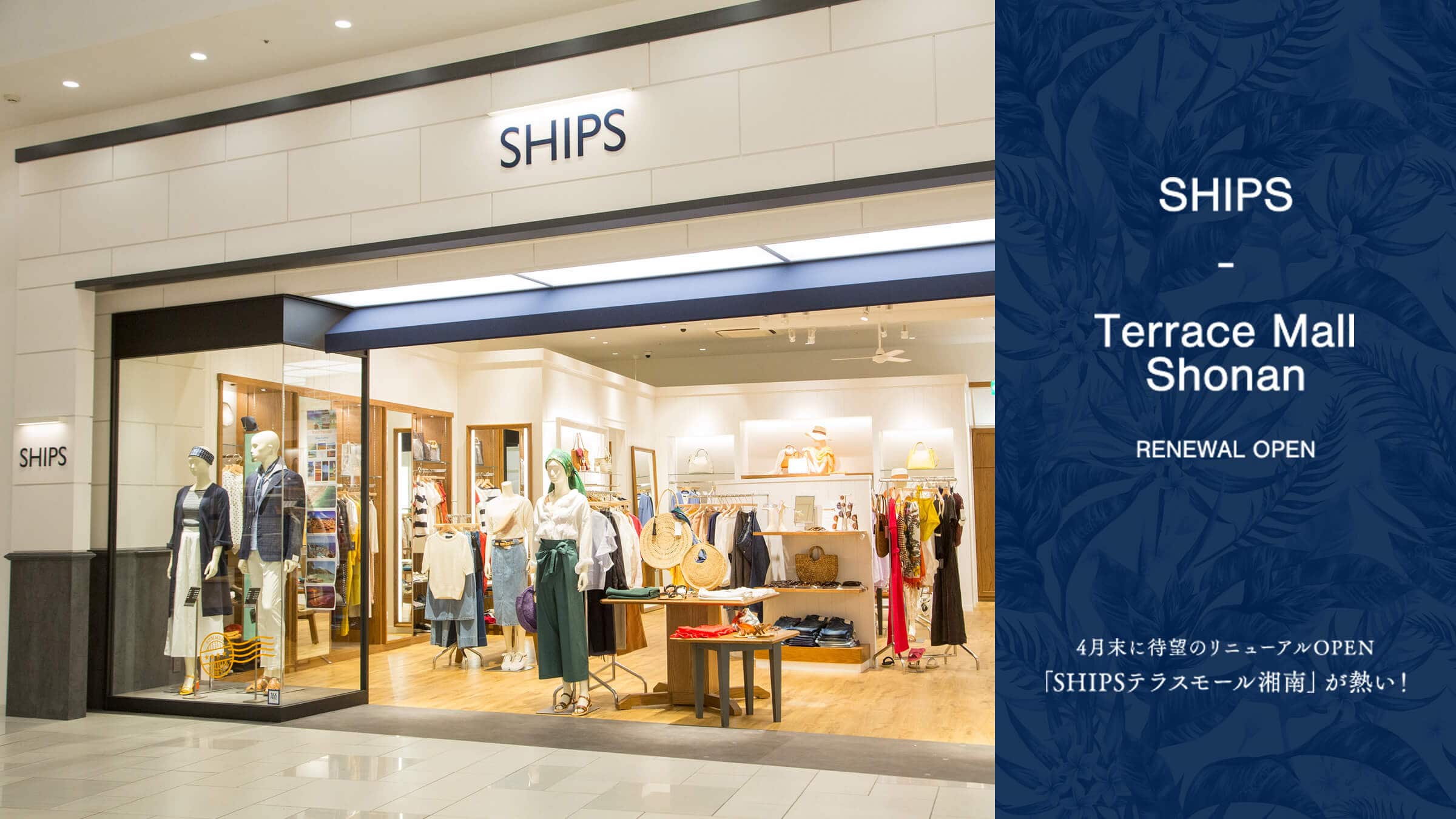 4ɑҖ]̃j[AOPEN  uSHIPSeX[ÓvMI