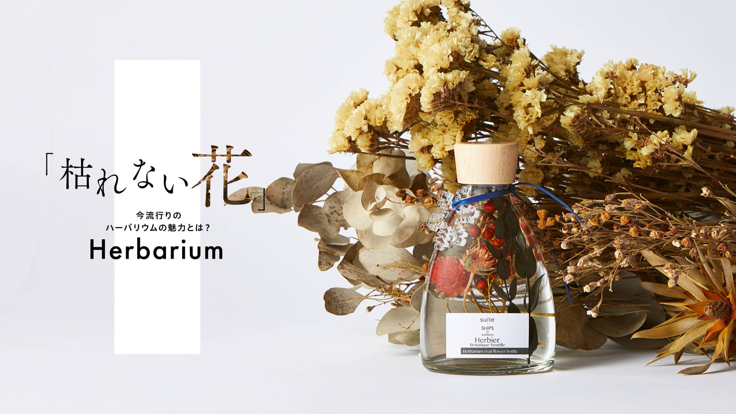 u͂Ȃԁvs̃n[oE̖͂Ƃ́H