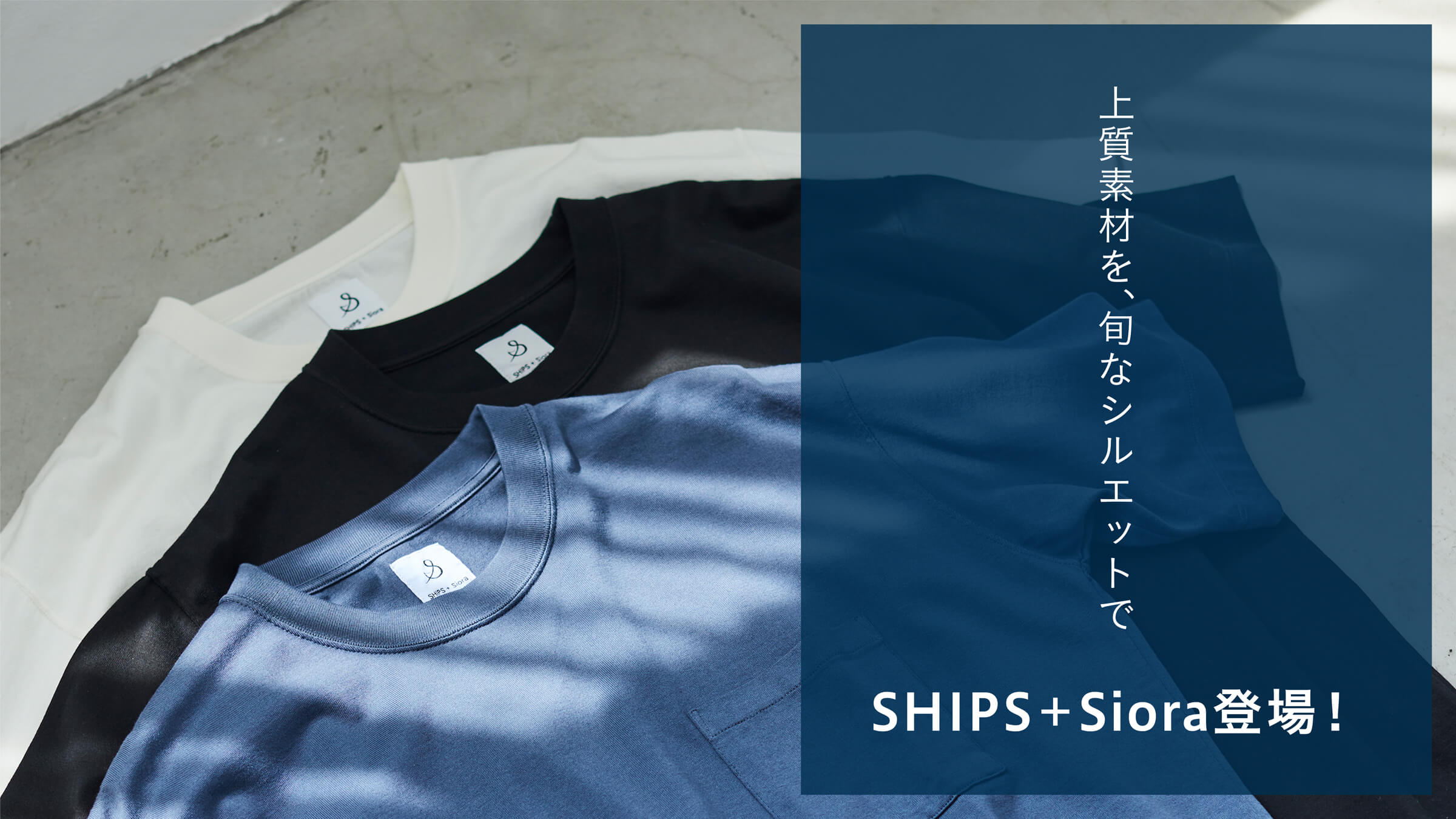 ㎿fނA{ȃVGbgSHIPS { SioraoI