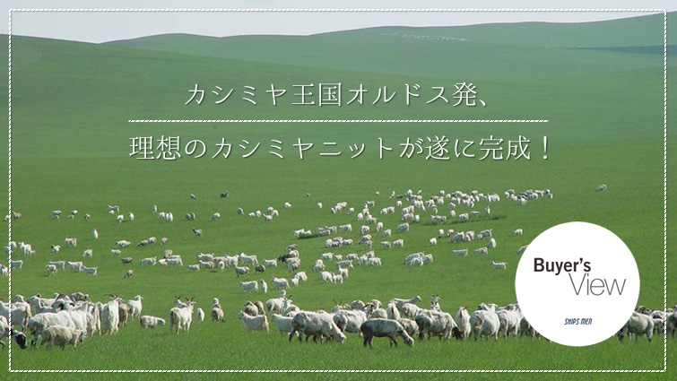 JV~IhXA z̃JV~jbgɊI