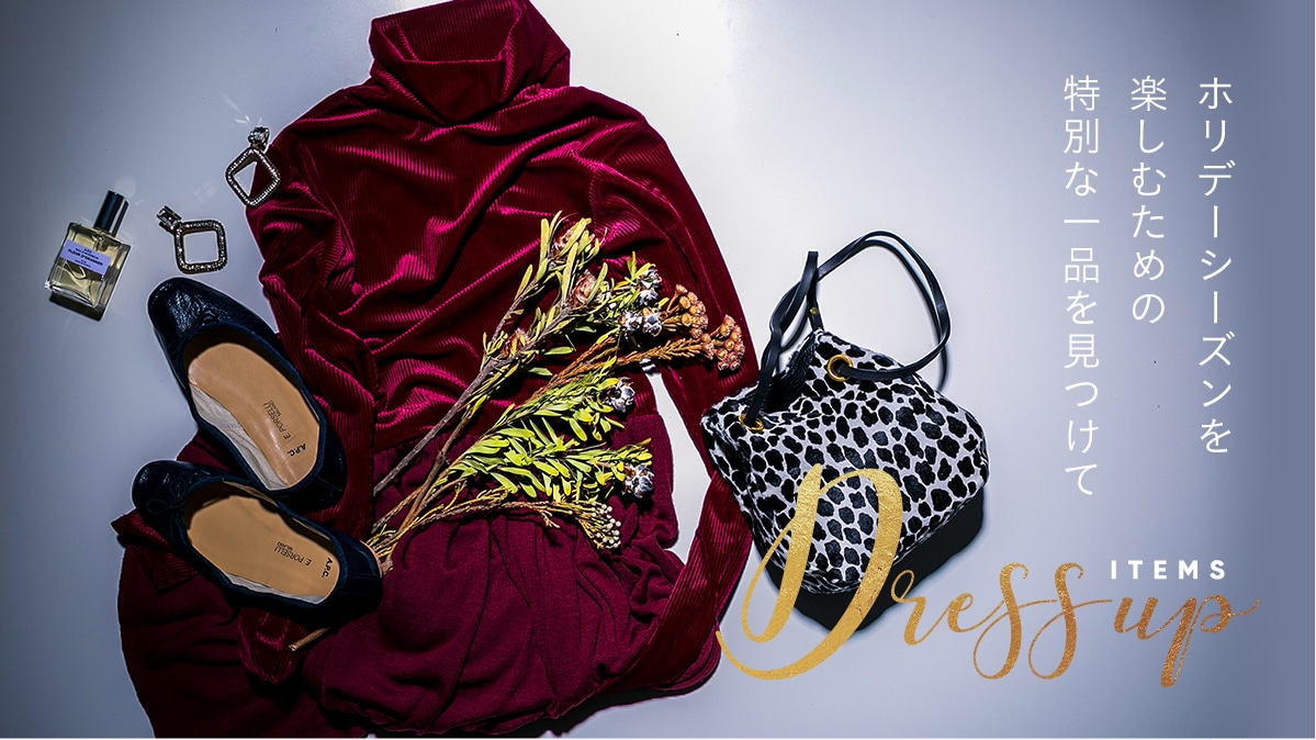 zf[V[Yyނ߂̓ʂȈi  hXAbvACe