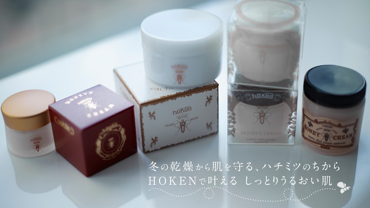 ~̊甧An`~ĉ   HOKENŊ Ƃ肤邨