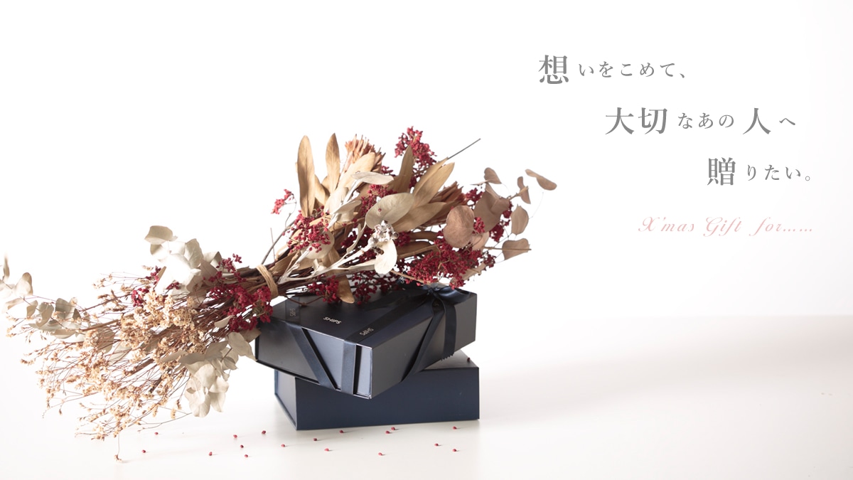 z߂āA؂Ȃ̐l֑肽B   Xfmas GIFT forcc