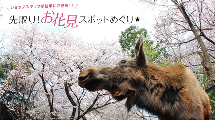 VbvX^btɂEIII ԌX|bg߂聙