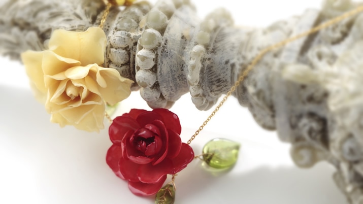 ���̉Ă������߂̃A�N�Z�T���[�̎g����