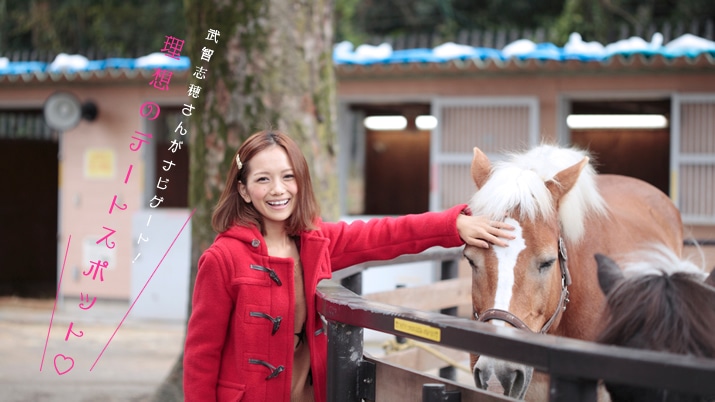 qu䂳񂪃irQ[g! z̃f[gX|bg?