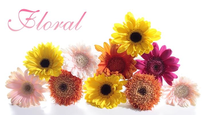 ���̉Ă������߂̉ԕ��A�C�e��