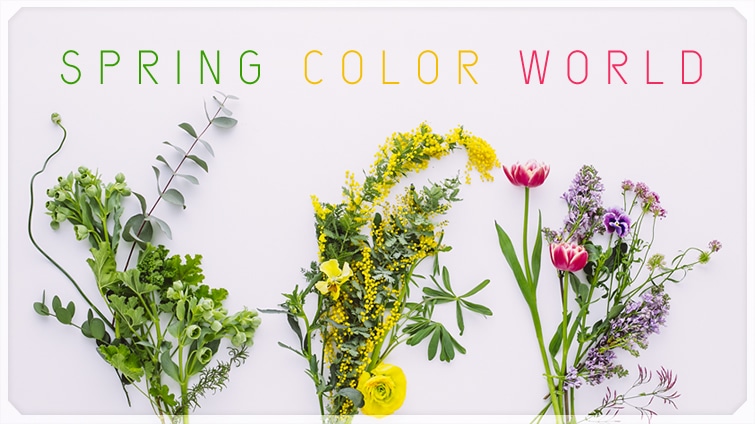 SPRING COLOR WORLD