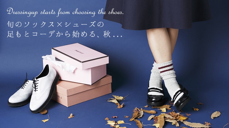 {̃\bNX×V[Y̑ƃR[fn߂AH