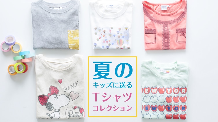 �ẴL�b�Y�ɑ���T�V���c�R���N�V����