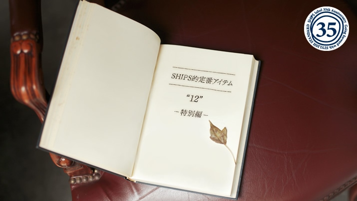 SHIPSIԃACe g12h |ʕҁ|