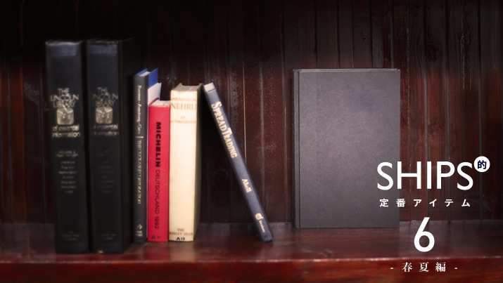 SHIPSIԃACeg6h|tĕҁ|