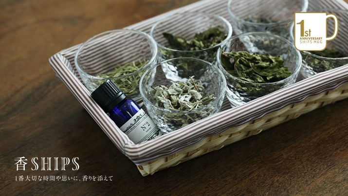 SHIPS  `Pԑ؂ȎԂvɁAYā`